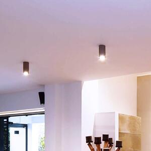 Deko-Light Spot LED pentru montare pe suprafață Lucea 20 W negru, reglabil, Negru, Camera de zi / sufragerie, Metal, Modern