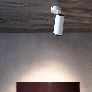 Deko-Light Spot LED pentru tavan Lucea, reglabil, 20 W alb, reglabil, Alb, Camera de zi / sufragerie, Metal, Modern
