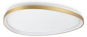 IDEAL LUX Plafonieră LED Gemini, alamă, 81 cm, 2700 K, cu întrerupător, Auriu / Alamă, Camera de zi / sufragerie, Metal, Modern