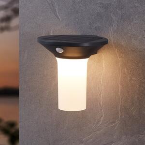 EGLO Corbezzola LED lumina solară de perete în aer liber, negru, senzor, Negru, Plastic