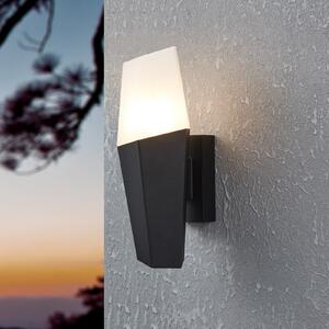 EGLO Farindola aplică de exterior negru/alb, reglabil, Negru, Metal