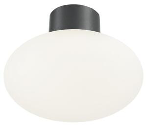 Ideal Lux - Plafonieră de exterior CLIO 1xE27/42W/230V IP44 antracit