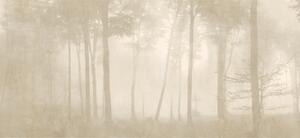 Tapet Foggy Forest