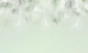 Tapet Decorative Feathers