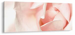Tablou - Trandafiri (120x50 cm)