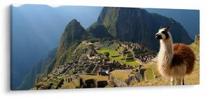 Tablou - Lama și Machu Picchu (120x50 cm)