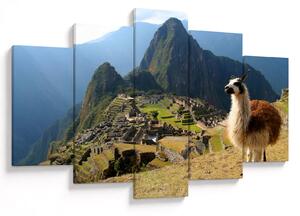 Tablou - Lama și Machu Picchu (150x105 cm)