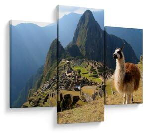 Tablou - Lama și Machu Picchu (90x60 cm)
