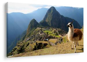 Tablou - Lama și Machu Picchu (90x60 cm)