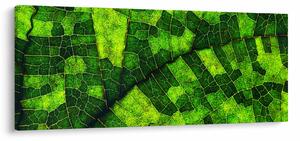 Tablou - Detaliu frunze (120x50 cm)