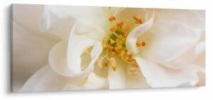 Tablou - Floare (120x50 cm)
