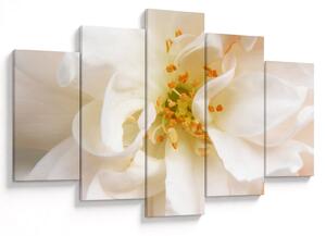 Tablou - Floare (150x105 cm)
