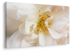 Tablou - Floare (90x60 cm)
