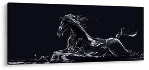 Tablou - Cal și apă (120x50 cm)