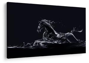 Tablou - Cal și apă (90x60 cm)