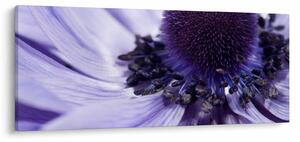 Tablou - Floare mov (120x50 cm)