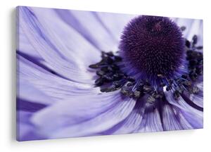 Tablou - Floare mov (90x60 cm)