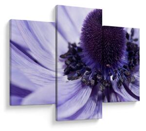 Tablou - Floare mov (90x60 cm)