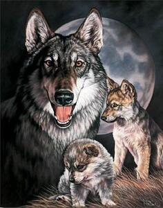 Placă metalică GRAHAM - Wolf Experience, (31.5 x 40 cm)