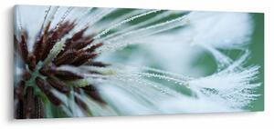 Tablou - Detaliu floare (120x50 cm)