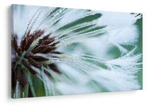 Tablou - Detaliu floare (90x60 cm)
