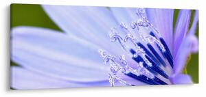 Tablou - Floare (120x50 cm)