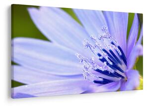 Tablou - Floare (90x60 cm)