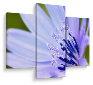 Tablou - Floare (90x60 cm)