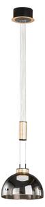 FISCHER & HONSEL Lampă suspendată Avignon 1 bec sticlă fumurie/negru/auriu, reglabil, Gri, Camera de zi / sufragerie, Sticlă, Modern