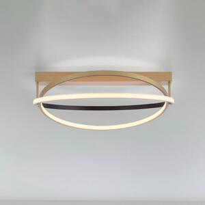 Q-Smart-Home Paul Neuhaus Q-Beluga plafonieră LED, alamă, reglabil, Auriu / Alamă, Camera de zi / sufragerie, Metal, Modern