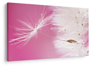 Tablou - Floare macro (90x60 cm)
