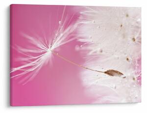 Tablou - Floare macro (70x50 cm)