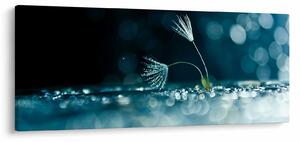 Tablou - Macro (120x50 cm)