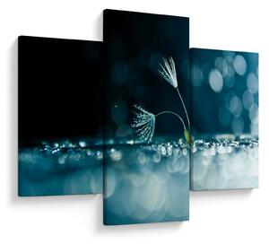 Tablou - Macro (90x60 cm)