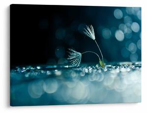 Tablou - Macro (70x50 cm)