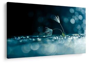 Tablou - Macro (90x60 cm)