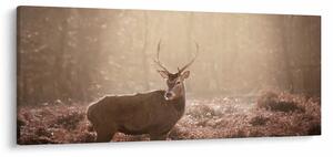 Tablou - Cerb în pădure (120x50 cm)