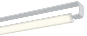HELL Box lampă suspendată LED, rotativă, alu anodizat, reglabil, Metalic, Camera de zi / sufragerie, Metal, Modern