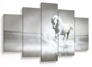 Tablou - Cal alb (150x105 cm)
