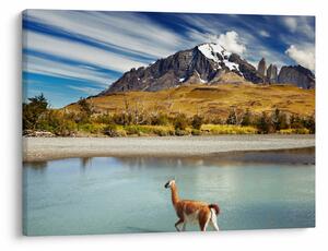 Tablou - Parcul Național Torres del Paine (70x50 cm)