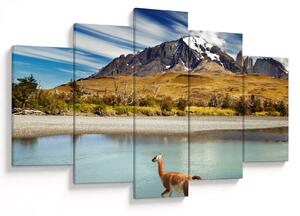 Tablou - Parcul Național Torres del Paine (150x105 cm)