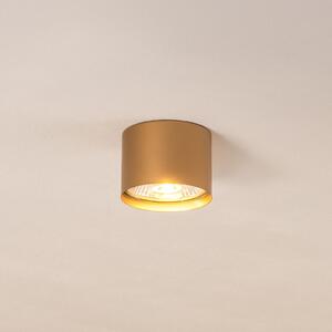 Argon Spot de tavan Chloe fix, auriu, reglabil, Auriu / Alamă, Camera de zi / sufragerie, Metal, Modern