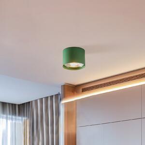 Argon Spot de tavan Chloe fix, verde, reglabil, Verde, Camera de zi / sufragerie, Metal, Modern