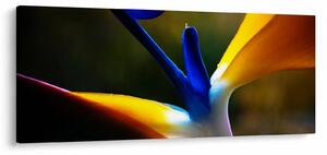 Tablou - Floare exotică (120x50 cm)