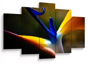 Tablou - Floare exotică (150x105 cm)