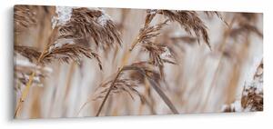 Tablou - Tei (120x50 cm)