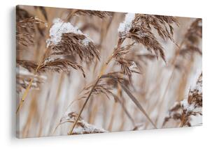 Tablou - Tei (90x60 cm)
