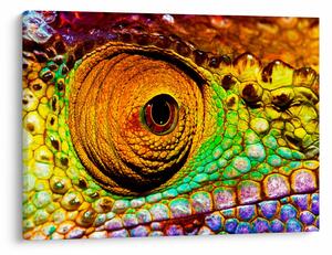 Tablou - Cameleon (70x50 cm)