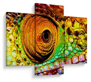 Tablou - Cameleon (90x60 cm)
