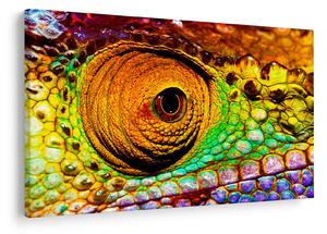 Tablou - Cameleon (90x60 cm)